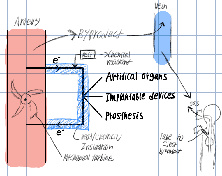 Blog Post Image
