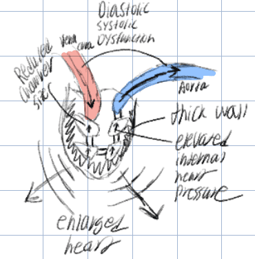 Blog Post Image